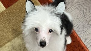 Оушен 3 мес ПРОДАН