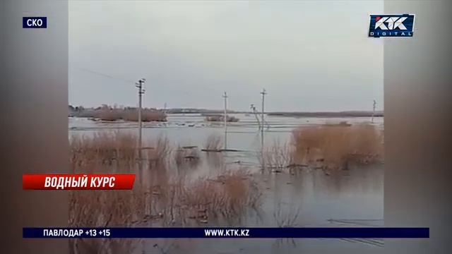 12 апреля 2024 г.что сейчас происходит в Петропавловске кз 🇰🇿 смотреть онлайн