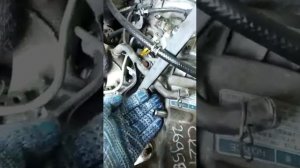 Дизель 2 с таунайс