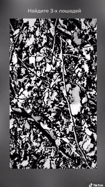 Головоломка: найдите лошадей смотреть онлайн