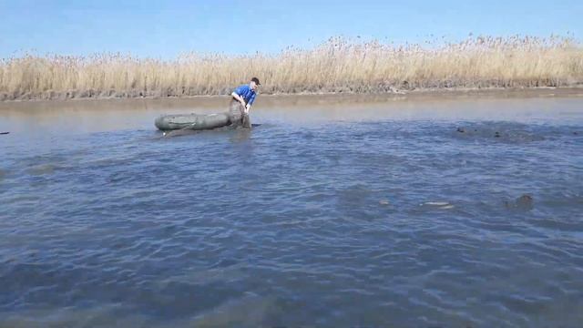 Тонны рыбы смотреть онлайн