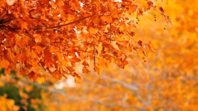 Осень -Музыка для души смотреть онлайн