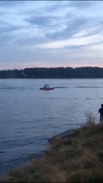 2 мая 2021 г. смотреть онлайн