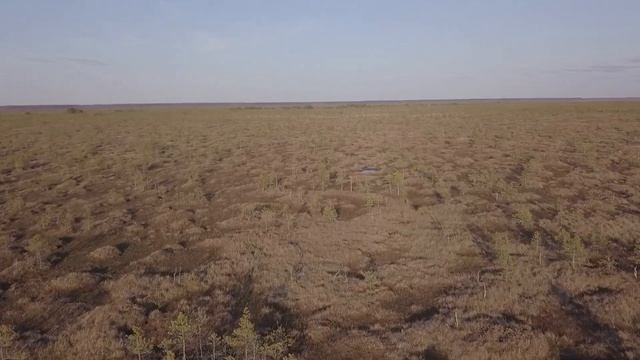 Бреющий полет на посадку смотреть онлайн