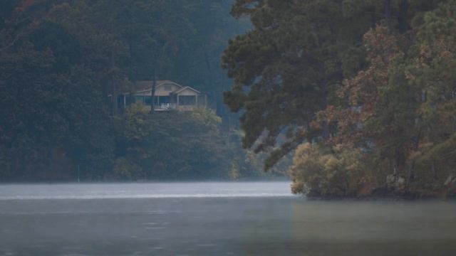 Засыпай под летний дождь и приятный щебет птиц. смотреть онлайн