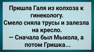 Как Галя из Колхоза к Гинекологу Пришла! Сборник Свежих Анекдотов! Юмор!