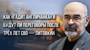 Военный контингент из Британии и Евросоюза на Украине: Литовкин о переговорах и гарантиях для России