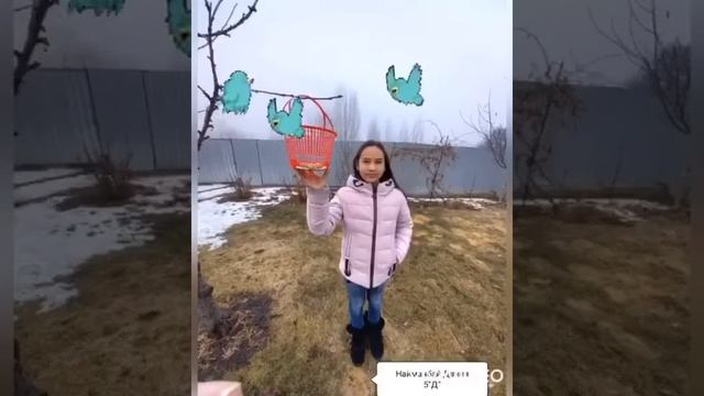 Забота о птицах