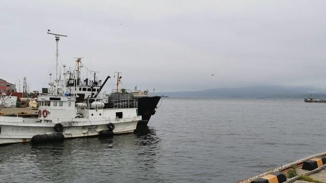 Авторские рассказы Игоря Фишелева. Очень долгий отпуск.Часть 2.