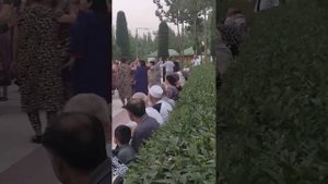 АВИТСЕНАИ ИСТАРАВШАН