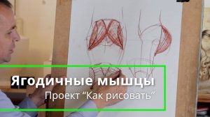 Как рисовать Ягодичные мышцы - А. Рыжкин