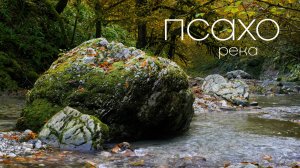 Осень в каньоне реки Псахо.