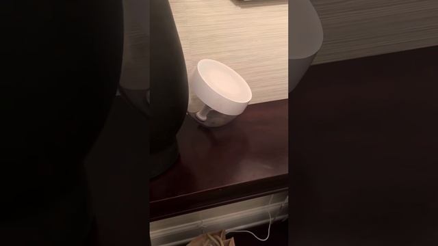Philips Hue Iris Smart Table Lamp Review, Coolest uplight you can buy смотреть онлайн
