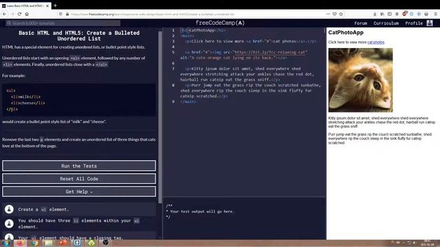 Coding freeCodeCamp - Basic HTML and HTML5