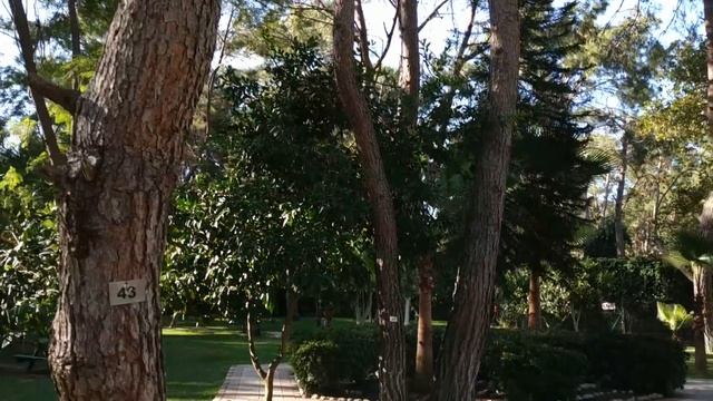 Обзор отелей Турции.Armas Kaplan Paradise в Текирова смотреть онлайн