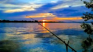 Мой фарм на Оби