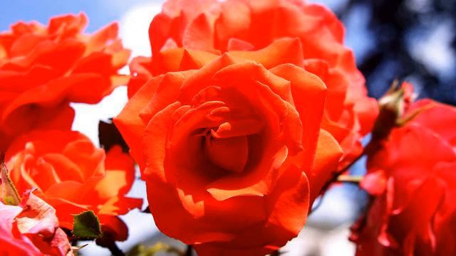 Море хороших русских клипов для автомобиля онлайн смотреть онлайн