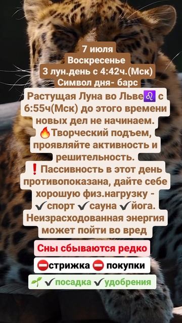 #гороскоп #луна #овен #телец #близнецы #рак #лев #дева #весы #скорпион #стрелец #козерог #водолей смотреть онлайн