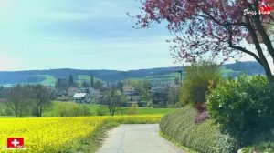 Штайн-на-Рейне, Швейцария Обзорная экскурсия по швейцарскому городу 4K