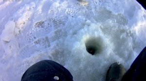 Зимняя рыбалка на реке Ока.Ловля густеры.Вторая часть