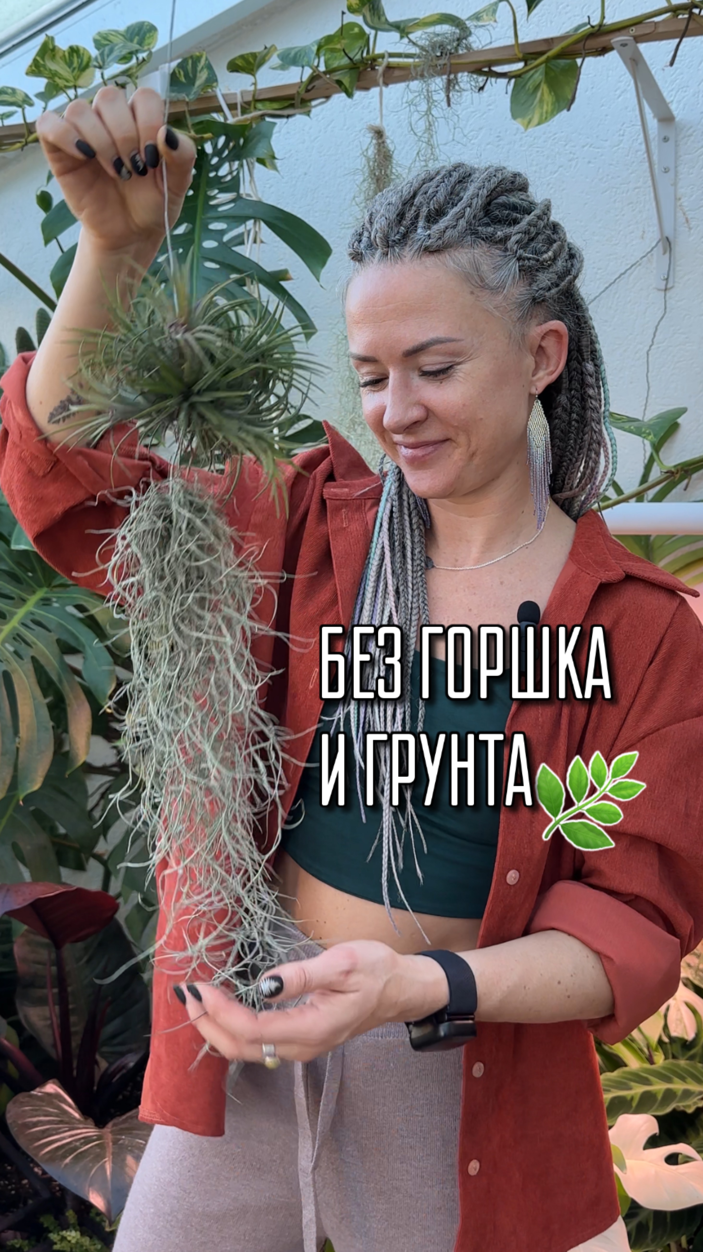 Необычные растения