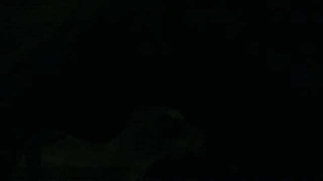 FIRST TIME RIDING A BOOSTED BOARD смотреть онлайн