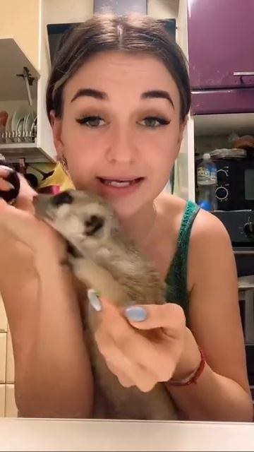 Пробуем  авокадо 🥑 смотреть онлайн