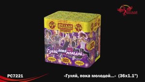 РС7221 Гуляй, пока молодой... (1,1"х 36)