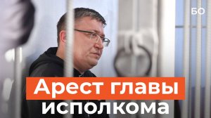 Главу исполкома Альметьевска отправили под стражу по делу о мошенничестве