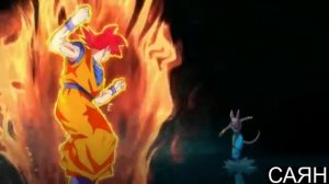 Гоку vs Бирус