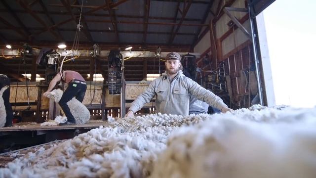 Duckworth Merino Wool apparel: Shearing смотреть онлайн