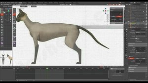 Кот в Blender Блокинг
