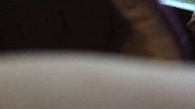 Вечерний вокал Моржа Брюса смотреть онлайн