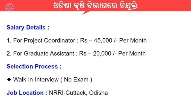 ICAR NRRI Cuttack Recruitment 2022 | Odisha Agriculture Office Recruitment 2022 | ICAR New Vacancy