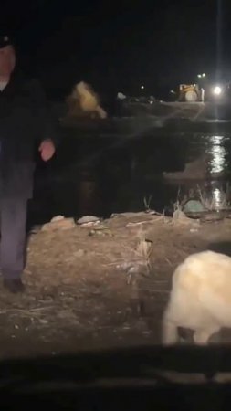 Орск топит, дома уходят под воду