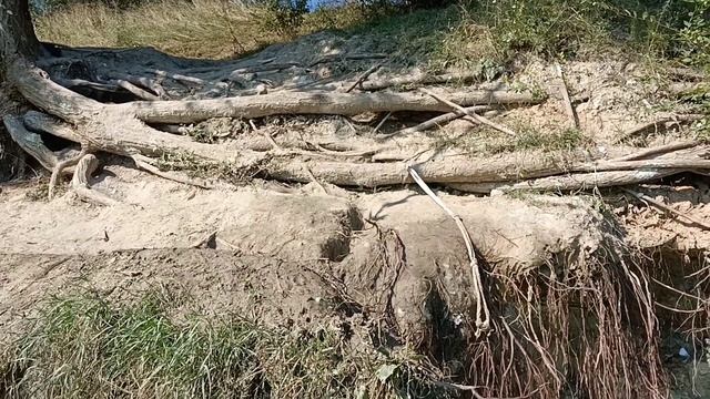 ОШАЛЕТЬ. Я нашёл РАЙ для ныряльщиков. КУПАНИЕ в идеально ЧИСТОМ водоёме.