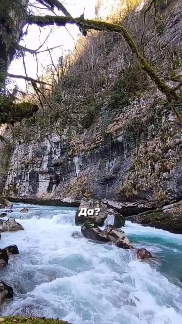 А как вам такая Абхазия? #абхазия #гидсочи #красота #рица #экскурсии #гидабхазия #весна #подснежник смотреть онлайн