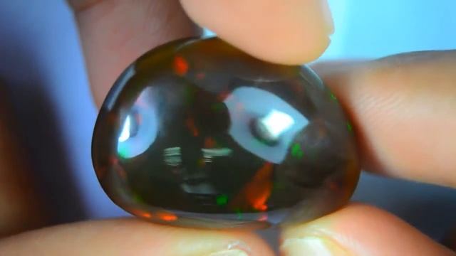 BLACK OPAL PRISM смотреть онлайн