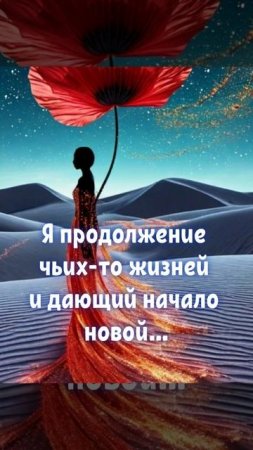 новая жизнь