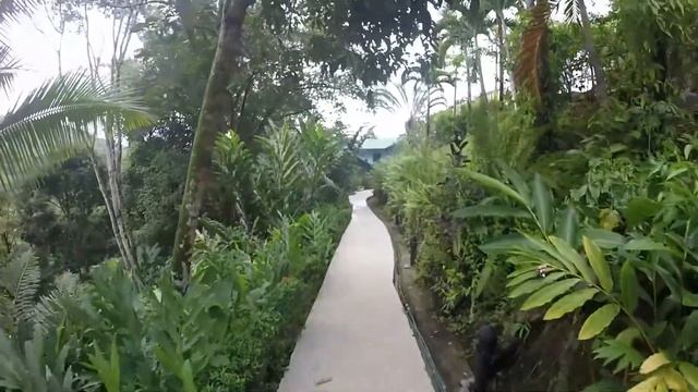 Mango Tree Villas & Spa смотреть онлайн