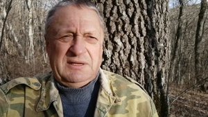 Набор энергии в лесу.