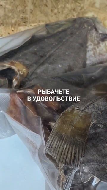Вяленый ёрш отправляется в Геленджик для Дмитрия.