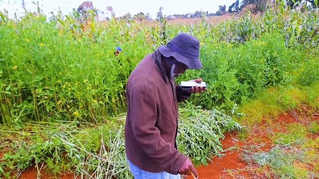 When you Think your clever but your partner is more Genius 😂😂 смотреть онлайн