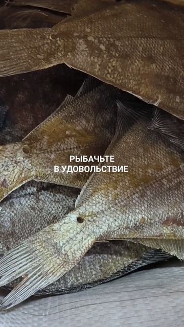 Вяленый ёрш отправляется в Калининград для Станислава.