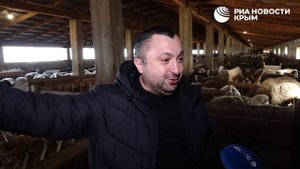 В Крыму проходит один из главных периодов для животноводства