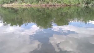 Шерубай Нура