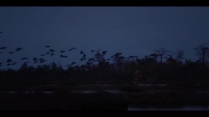 «Записки охотников». Тизер.