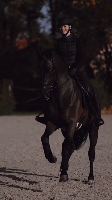 Выездка или конкур? #blog #blogger #equestrian #horseriding #horse #horselover смотреть онлайн