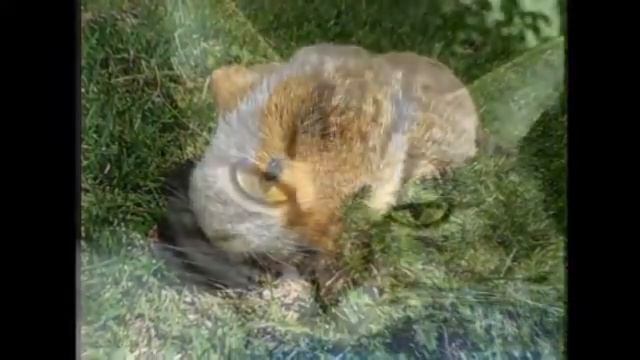 120522607319 смотреть онлайн