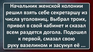 Начальник Женской Колонии Решил Взять Себе Секретаршу! Сборник Анекдотов